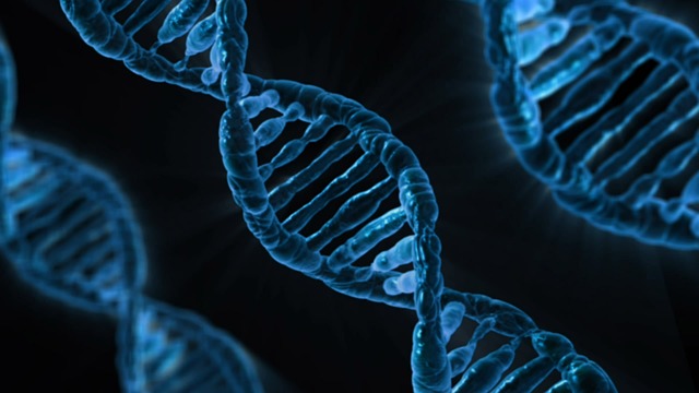 microscopic image of DNA whose beard turning red