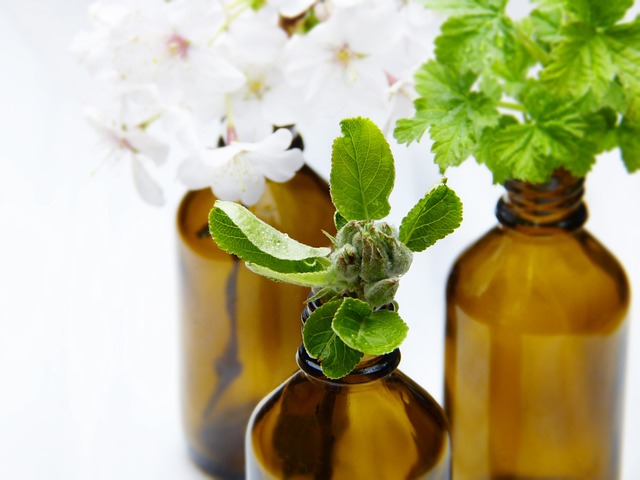 peppermint oil for beard growth peppermint essential oil