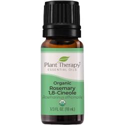 rosemerry essential oil 1