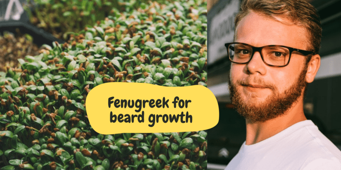 fenugreek for beard growth