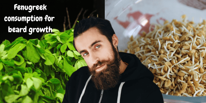 fenugreek help beard growth
