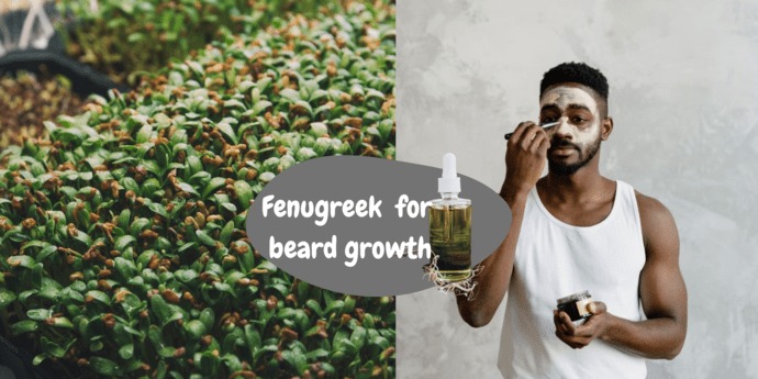 fenugreek for beard growth