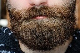 onion juice benefits for beard